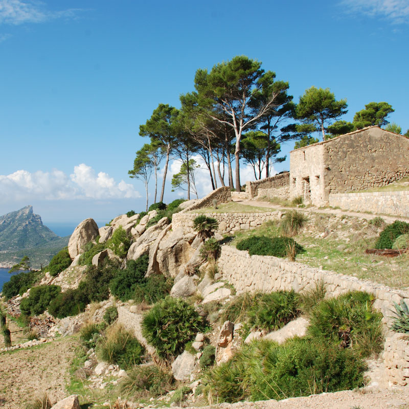 La Trapa